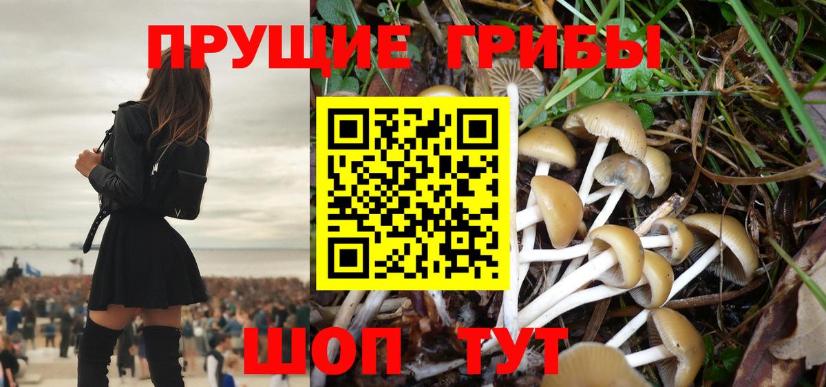 Галлюциногенные грибы MAGIC MUSHROOMS Североморск